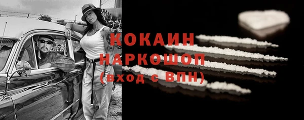гашик Алзамай