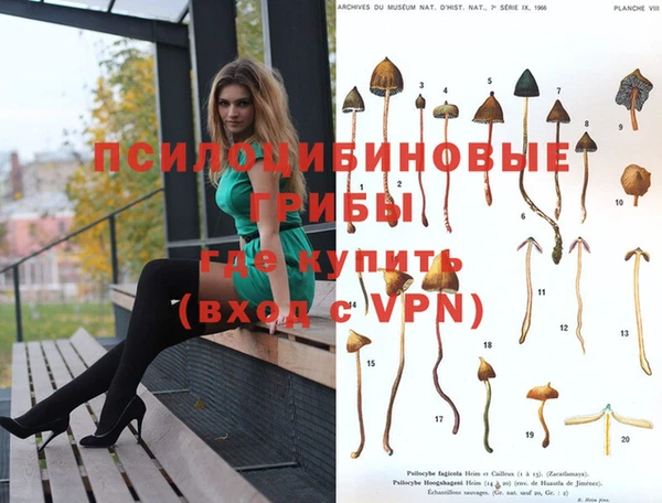 mdpv Алексин