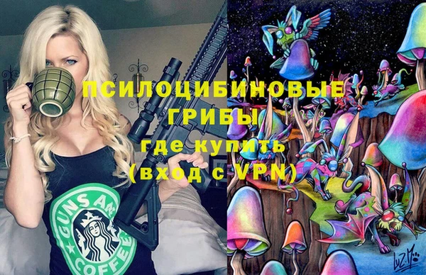 альфа пвп Алексеевка