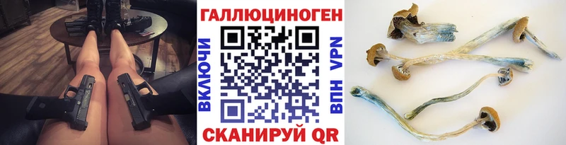 магазин продажи наркотиков  Чёрмоз  Псилоцибиновые грибы мицелий 
